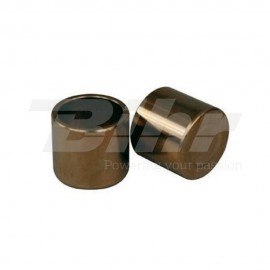 KIT PISTONES PARA PINZA DE FRENO TRASERA NISSIN