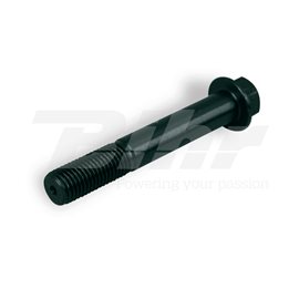 TORNILLO DE PINZA RADIAL NISSIN M10 L:65MM