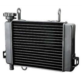 RADIATOR CBR 125 04-10