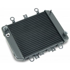 RADIATOR ER-5 97-06
