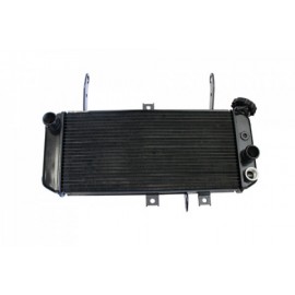 RADIATOR SV 650 N/S 05-