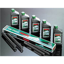 FORK SPRINGS FOR BMW
