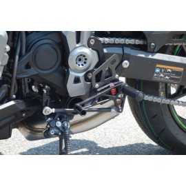 2SLIDE REARSET KAWASAKI Z 900 17 - BLACK MOUNTING PIECE RED