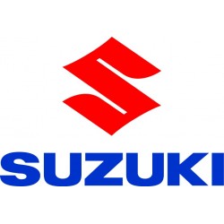 SUZUKI PUIG