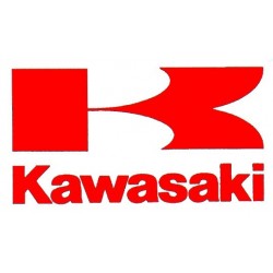 KAWASAKI PUIG PRO