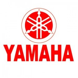 CUPULAS YAMAHA