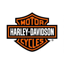 HARLEY DAVIDSON NEW GENERATION